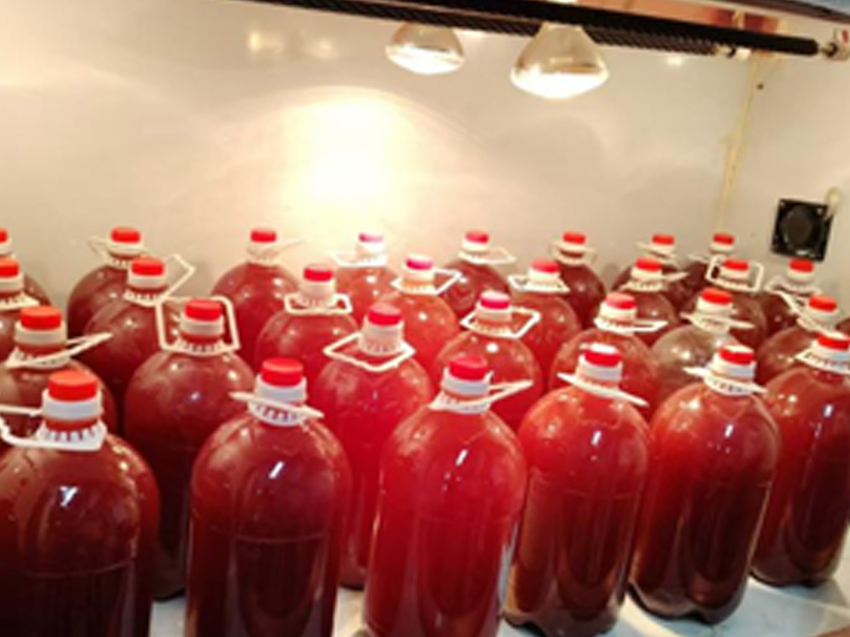 其他细菌培养灯