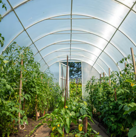 Agricultural Supplemental Lighting Solutions