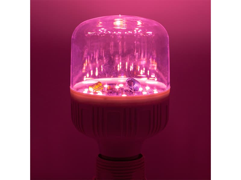 Can LED Grow Lamps Really Make Plants Thrive?