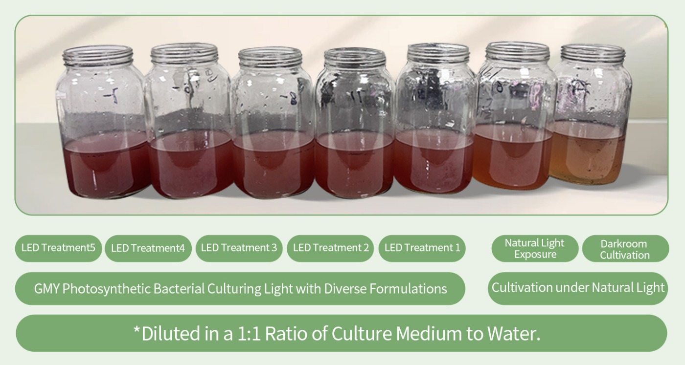 Comprehensive Cultivation Comparison Chart