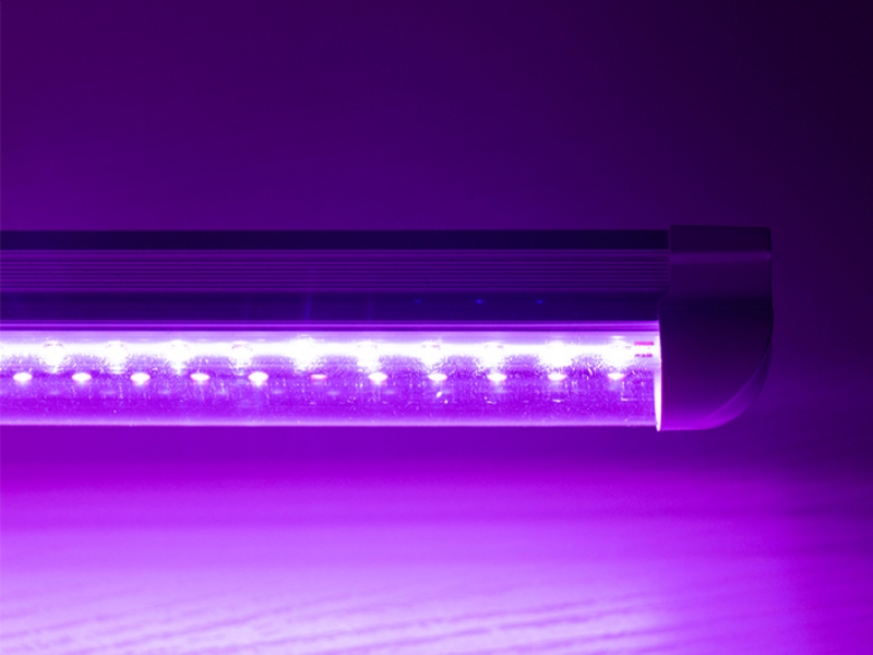 Plant micropropagation LED lamp