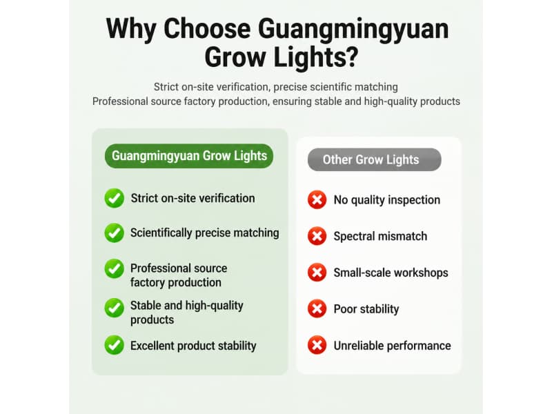 LED light for orchid seedling root development