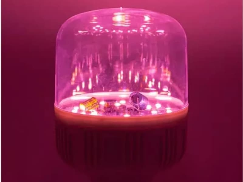 Can LED Grow Lamps Really Make Plants Thrive?