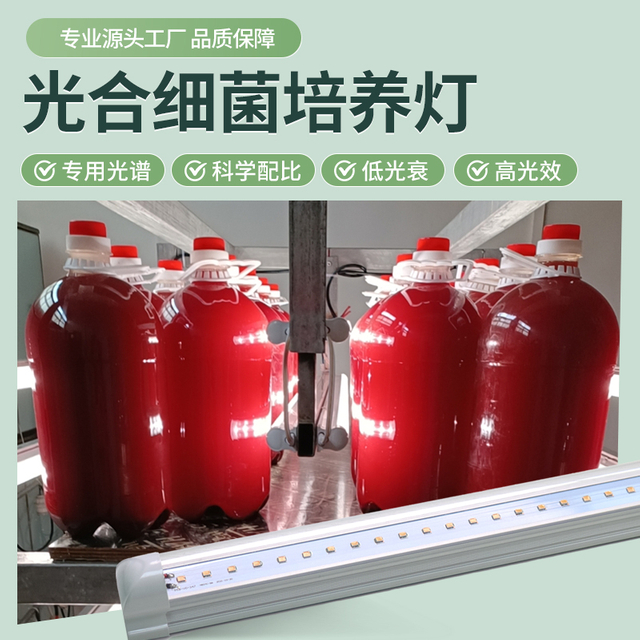 光合细菌培养灯
